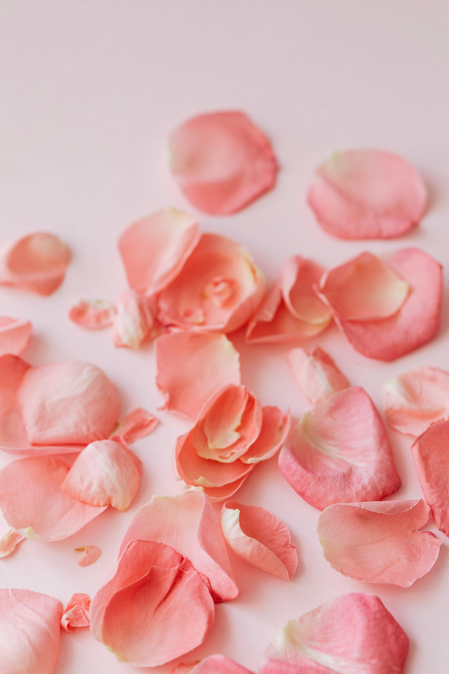 BAUME À LÈVRE À LA ROSE