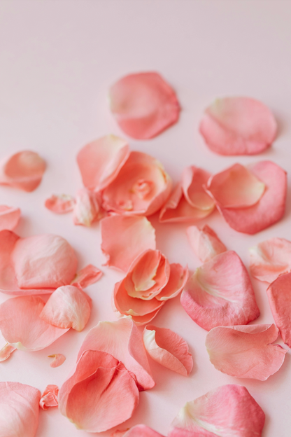 BAUME À LÈVRE À LA ROSE